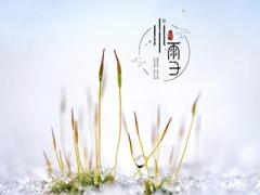 雞寶寶小雪節氣出生的是不是好命?生肖雞命運