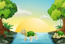 夢見烏龜預示著什么 吉祥如意事事順心