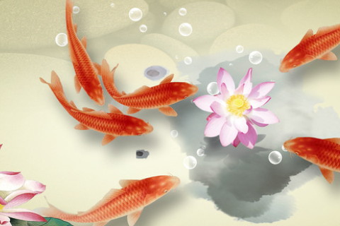 屬兔的人在家中擺放什么掛畫(huà)能增強(qiáng)運(yùn)勢(shì) 九魚(yú)圖山水畫(huà)皆可