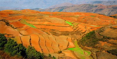 路旁土命會(huì)克山頭火命嗎？山頭火命幾月出生的好？