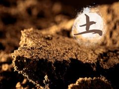 土命只能住東戶嗎？沙中土命家里適合擺放什么？