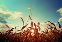 改名字會改變運勢嗎?改名字如何影響婚姻