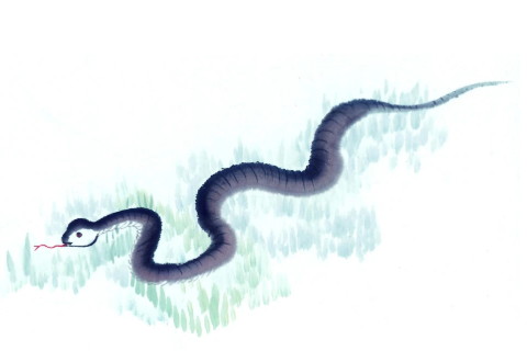 夢到蛇是什么好的嗎