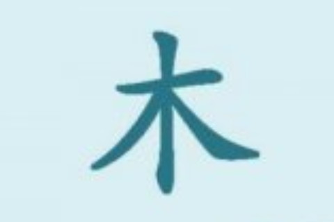 八字缺木的人應該如何化解