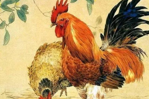 　生肖雞什么月份最不好
