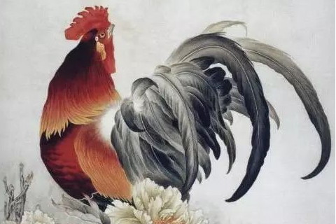 　屬雞的幾月出生最好命