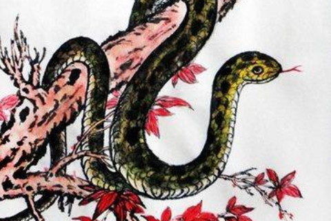 男人夢到蛇是什么好的嗎