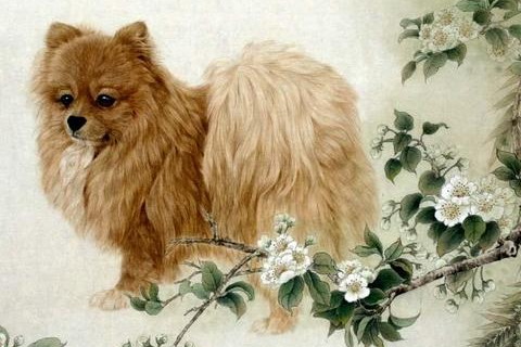 　生肖狗什么月份最不好