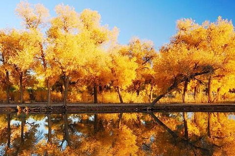 　　射手座恐懼自己的愛情被定型