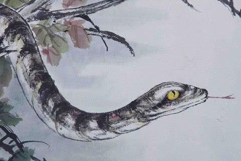 女人夢(mèng)到被蛇有所接觸