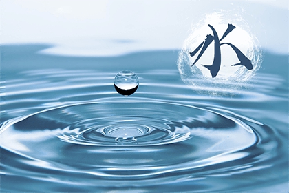 水命猴與水命鼠合不合？運勢旺不旺？
