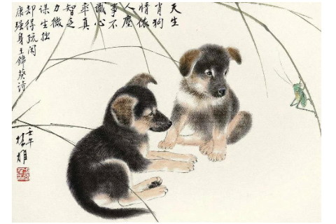 　2022年一月份狗的財運