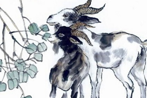 生肖羊什么月份最不好