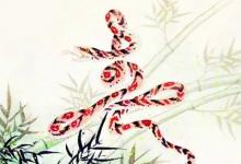 周公解夢夢見蛇  夢見蛇好不好