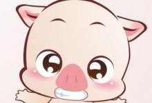 生肖跟你的婚姻和命運有關嗎 屬豬的人是怎么樣的