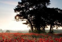 2022年射手座的運勢 射手的事業、愛情與財運