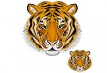 1998年屬虎人2022年本命年運勢怎么樣，98年24歲生肖虎本命年戴什么最好