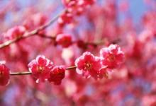 入門見廚房的好不好 如何化解