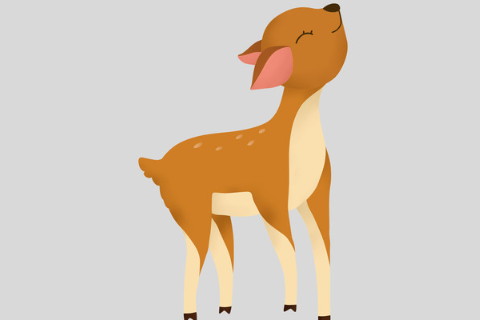 哪六種人不適合養(yǎng)雞?有什么風水禁忌