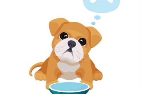 哪四大生肖不適合減肥?喜歡健身的生肖