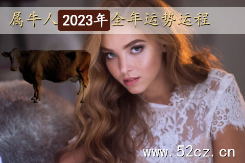 不同年份的屬牛人2023年全年運勢詳解