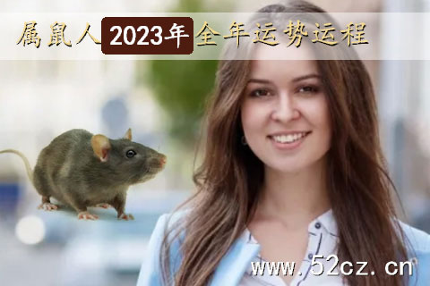 不同年份的屬鼠人2023年全年運勢詳解