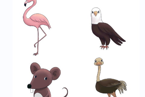 火命寶寶名字中帶火字好嗎