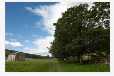 帶德字的公司名字推薦