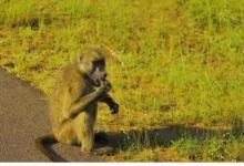 客廳飲水機放哪個位置風水好