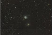 生肖猴出生在哪個(gè)月命最苦