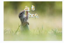 越胖越有財的生肖女