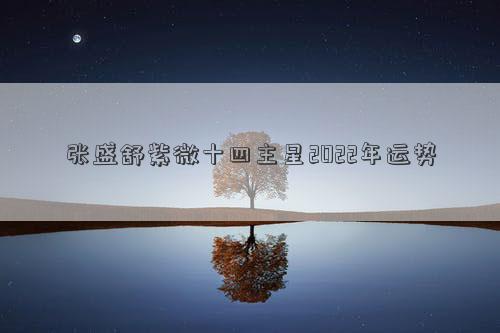 張盛舒紫微十四主星2022年運勢