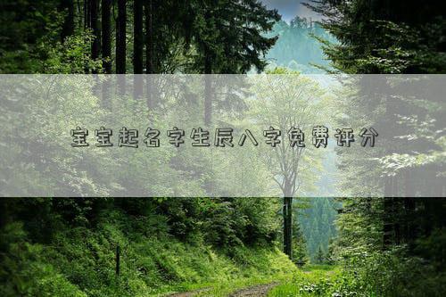 寶寶起名字生辰八字免費評分