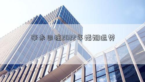 辛未日柱2022年婚姻運勢