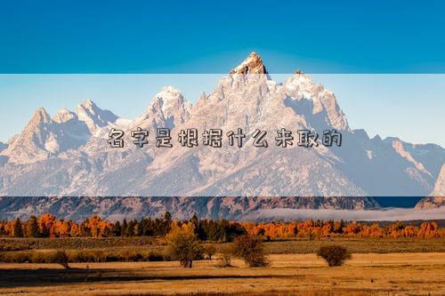 名字是根據什么來取的