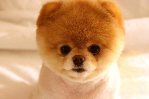 夢見同事說自己壞話好不好