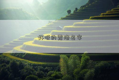 好聽的霞洛名字