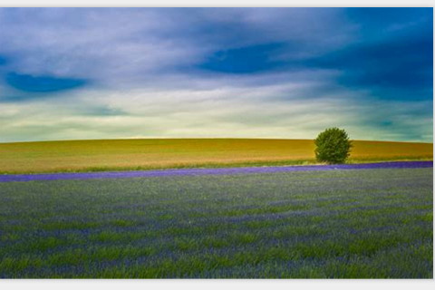 夢見別人送我被子是什么意思