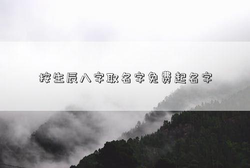 按生辰八字取名字免費起名字
