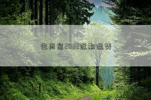 生肖鼠2022近期運勢