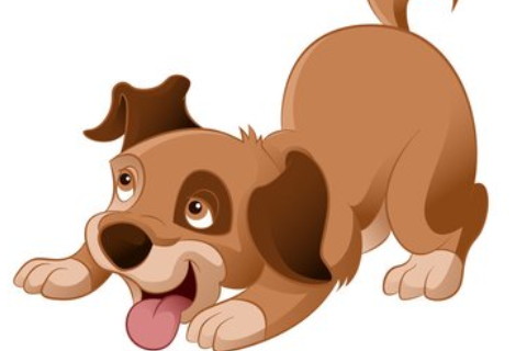 名字帶佳的名字