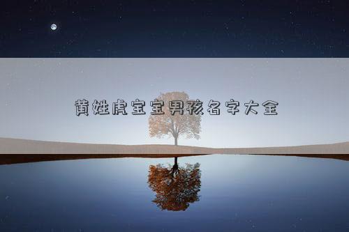 黃姓虎寶寶男孩名字大全