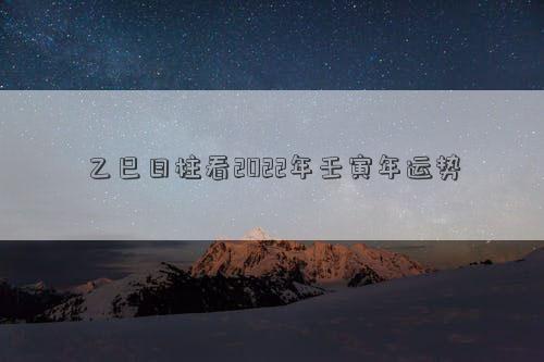 乙巳日柱看2022年壬寅年運勢