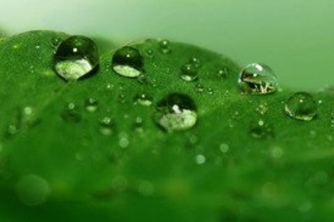 夢見車燈壞了是什么意思