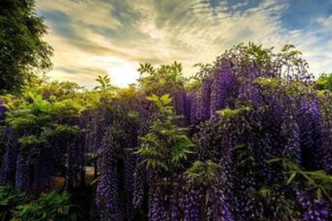 夢見同事說自己壞話好不好