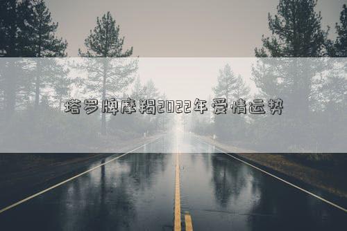 塔羅牌摩羯2022年愛情運(yùn)勢(shì)