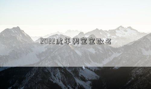 2022虎年男寶寶取名