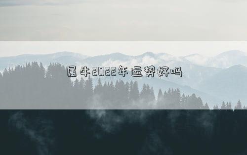 屬牛2022年運(yùn)勢(shì)好嗎