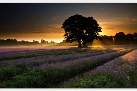 夢見別人送我被子是什么意思
