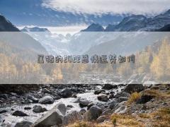 屬豬的2022感情運勢如何